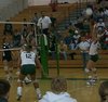 volleyball-vs-waynestate087.jpg