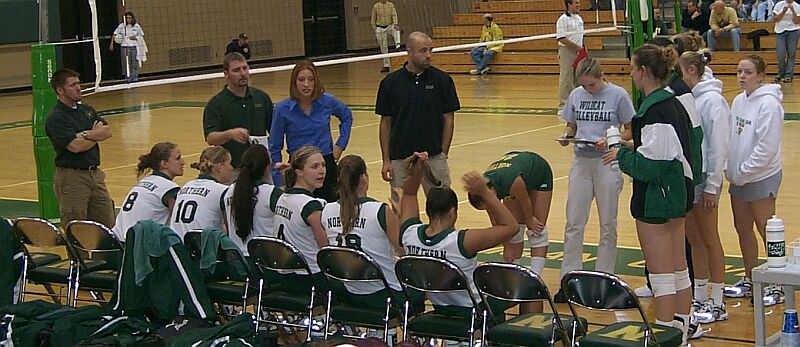 volleyball-vs-waynestate081.jpg, 10/17/02, 80 kB